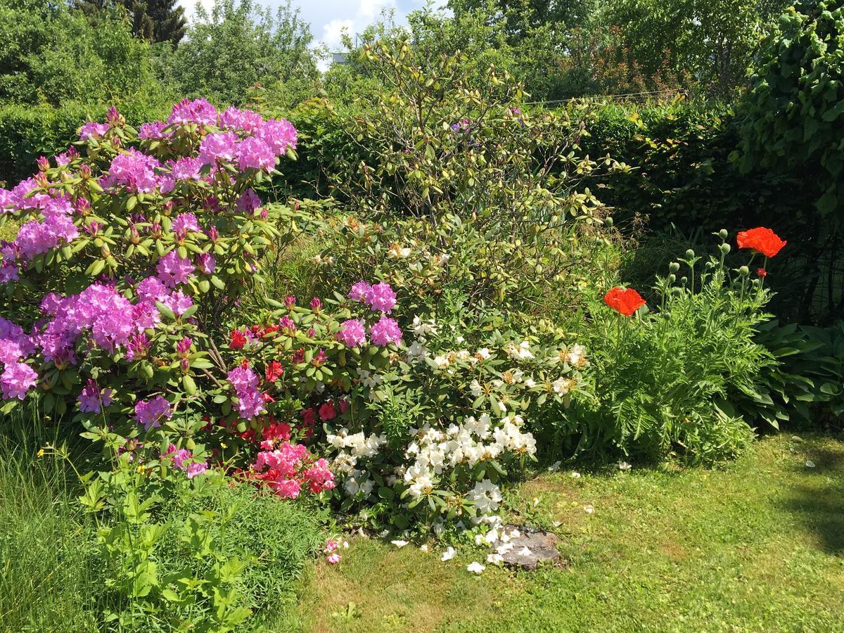 Big With Garden Appartement